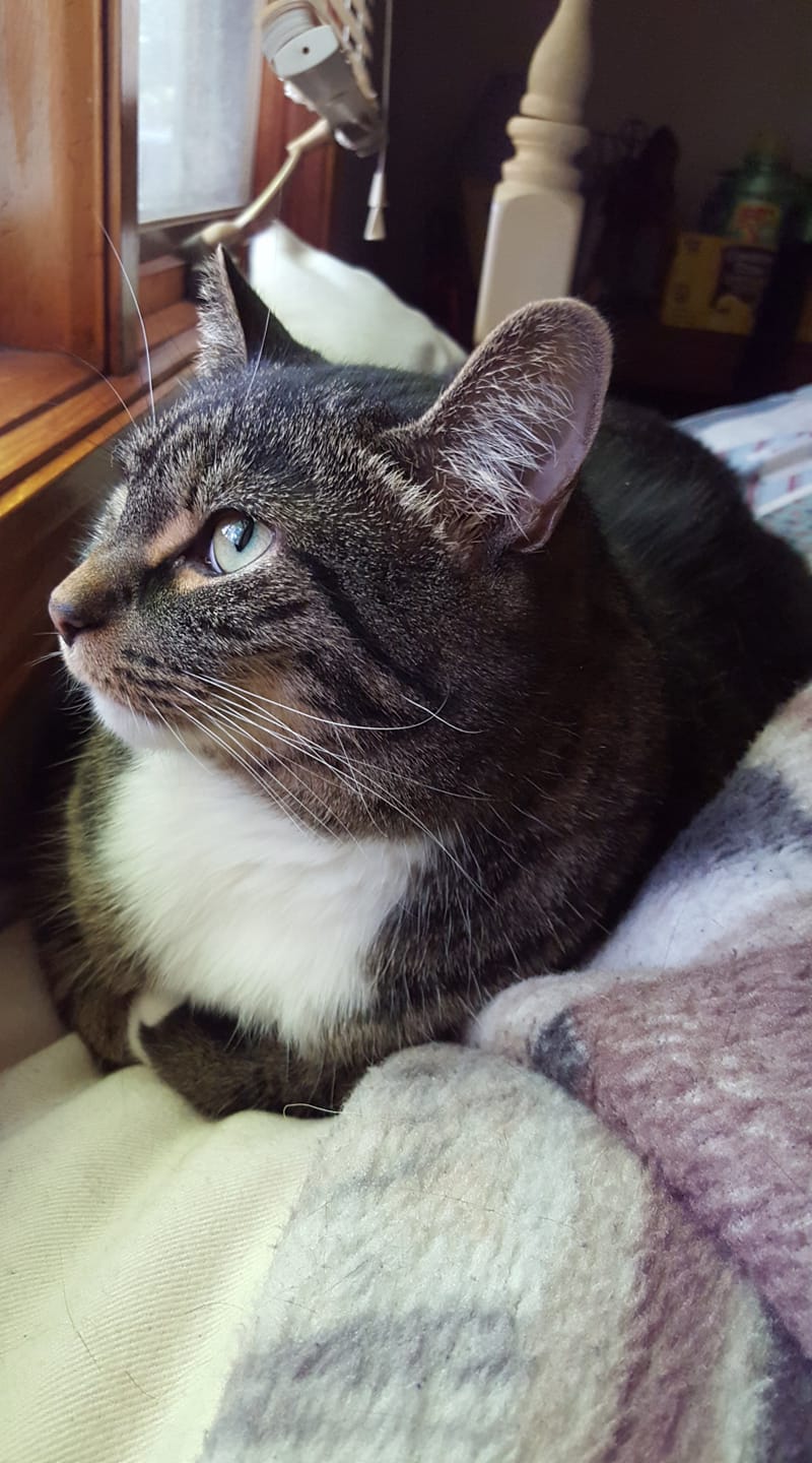 43720296_927182700813104_9035310777765986304_o